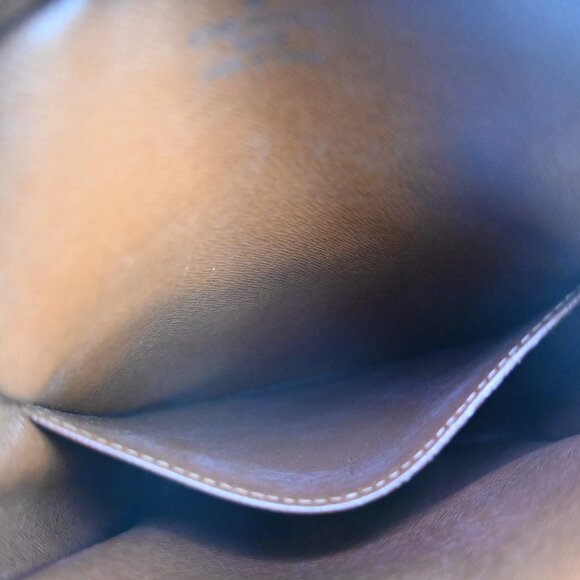 Authentic Louis Vuitton Monogram Amazone Crossbody Bag bsj393-111325 - Picture 14 of 16